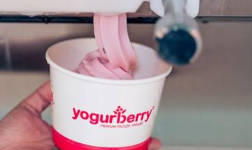 Frozen yogurt vs ice cream: Which dessert is actually healthier?