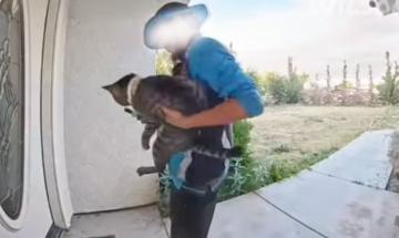 California family and Amazon driver clash over who owns cat seen in viral doorbell footage