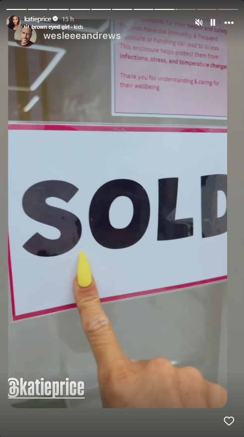 Katie Price welcomes new puppy with Lee Andrews