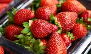 6 health benefits of eating strawberries regularly