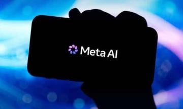 Meta AI verification system fails to detect cropped images