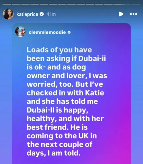 Katie Price breaks silence after Lee Andrews second arrest
