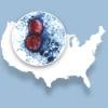 Severe parasite outbreak infects hundreds across 31 US states