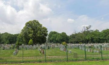New York woman charged after injured dog abandoned at cemetery