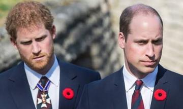 Prince William shows no desire to reconcile with Prince Harry