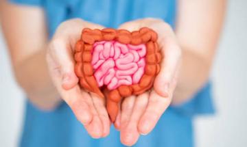 5 expert-backed habits that can transform your gut health