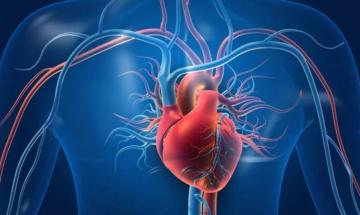 Cardiologist lists 15 habits harming your heart