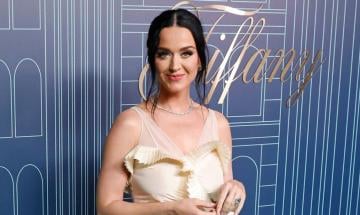 Katy Perry condemns White House for using 'Firework' in strike footage