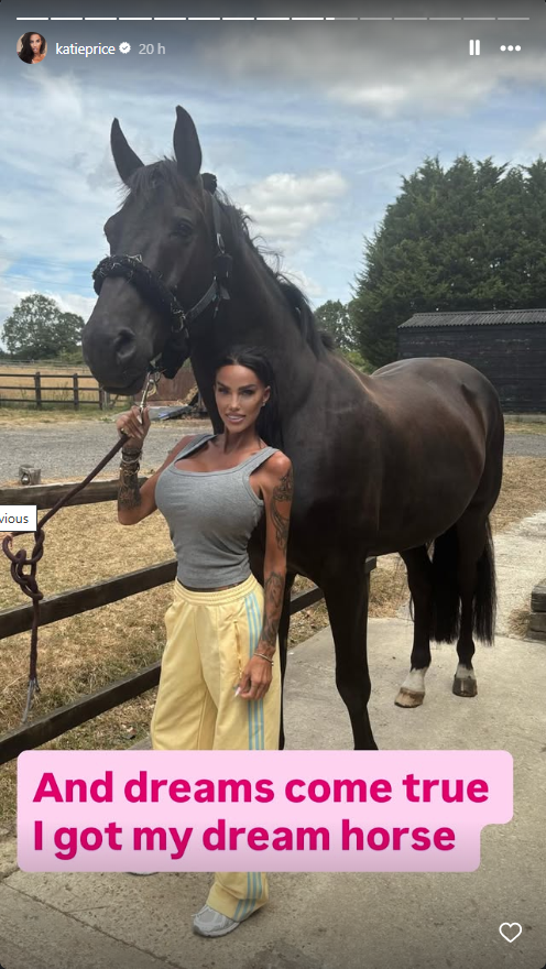 Katie Price buys dream horse following Lee Andrews split reports